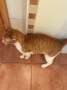 Philipp (4)